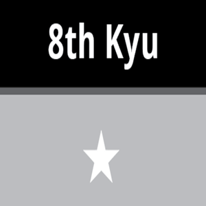 2. 8th Kyu
